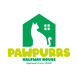 b9ded1_399195933a7041d795d80f99ff39e478~mv2