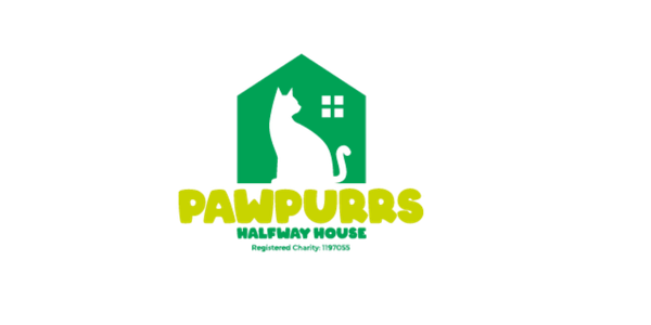 Untitled design - 2026-02-03T143012.131