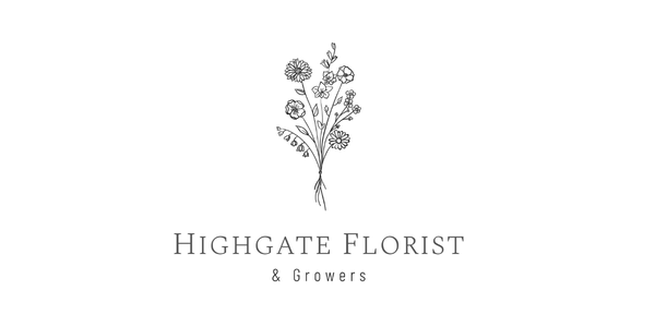 Untitled design - 2026-02-03T143038.819